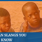 Insight Spice Nigerian slangs dictionary