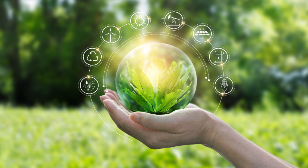 The Green Economy: Characteristics, Principles And Importance - Insight.ng