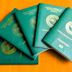 international passport