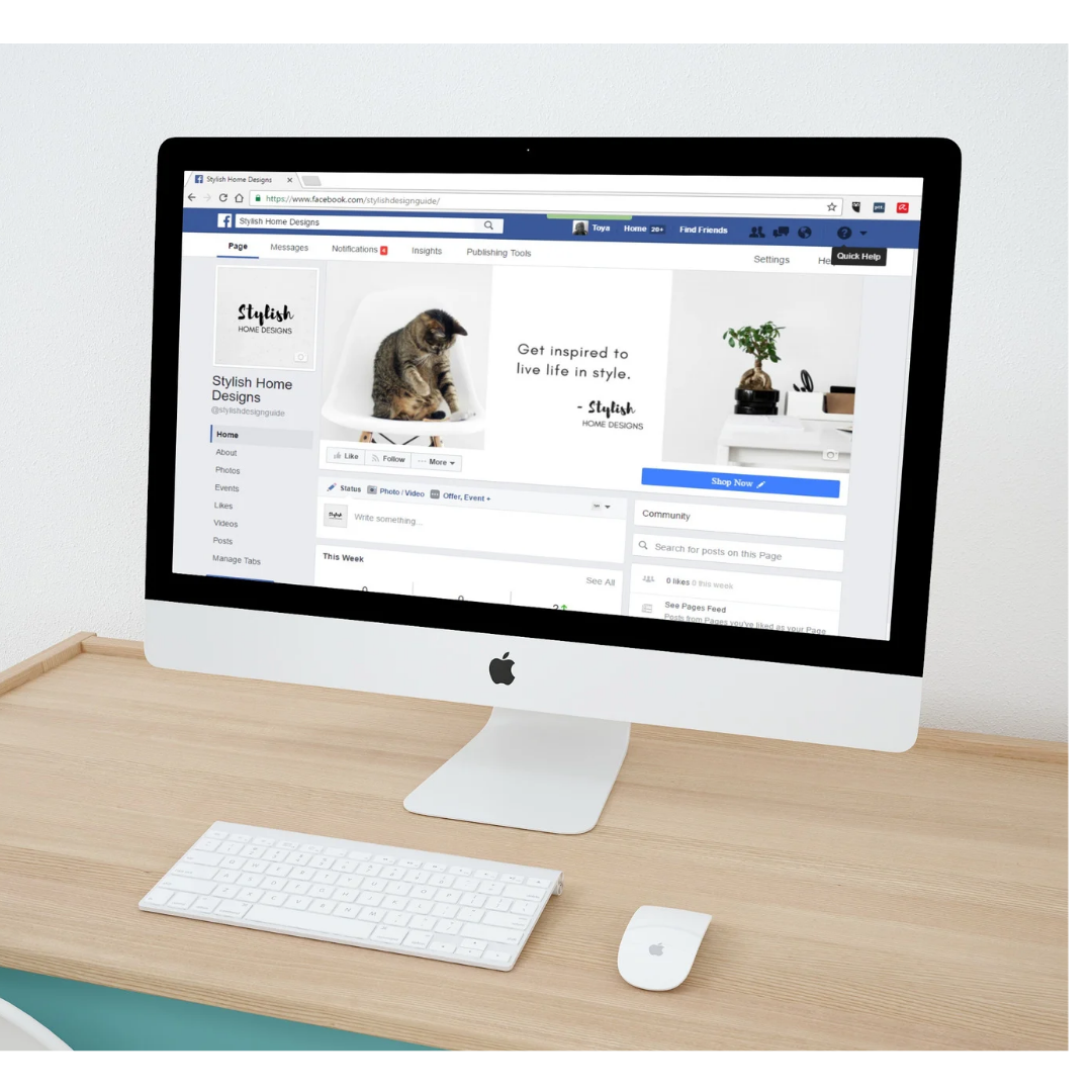 Facebook Ads for business growth
