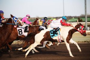 hollie doyle jockey horse racing